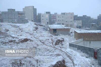تصاویر: بارش برف پاییزی - اهر