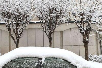 ببینید/ کولاک برف در کوهپارک مشهد