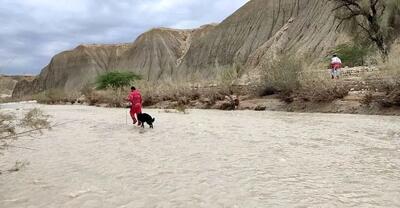 کشف پیکر کودک مفقودی در هرمزگان/ تلاش دو روزه تیم‌های هلال‌احمر و سگ‌های نجات به پایان رسید