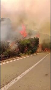 آتش‌سوزی‌های جنگلی در سانتیاگو