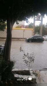 خیابان‌های بوشهر دریاچه شد!