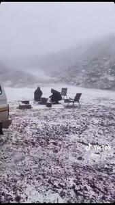 تبوک عربستان سفیدپوش شد