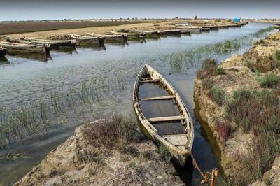 ۳۵ درصد از خلیج گرگان خشک شده!