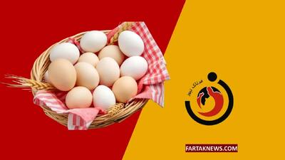 قیمت جدید تخم مرغ ؛ قیمت یک شانه تخم مرغ چند شد؟ + جدول