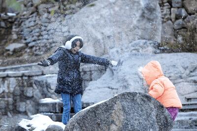 سرمای شدید در راه | بارش برف و باران و وزش باد کشور را فرا می گیرد