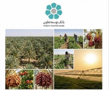  تأمین مالی زنجیره ای؛ فرصتی برای عبور کشاورزی سیستان و بلوچستان از فقر ساختاری به ارزش افزوده پایدار