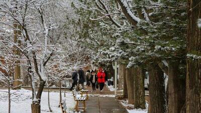 نفوذ موج جدید بارش‌ها به کشور از خلیج فارس