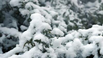 سرما و برف سراسری در انتظار کشور؛ موج جدید بارش‌ها آغاز شد