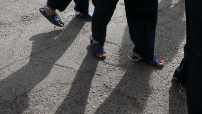 اعضای باند موبایل قاپی و اعتراف به ۵۰ فقره سرقت دستگیر شدند