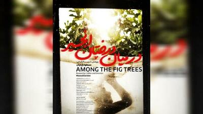 قصه آزادگــــی در زیستــــی زنــــانــــه