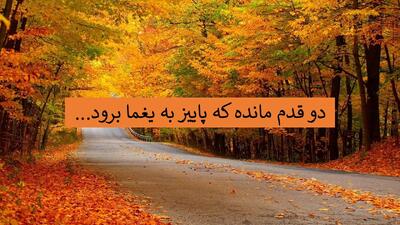  شعر دو قدم مانده که پاییز به یغما برود از کیست؟ + متن