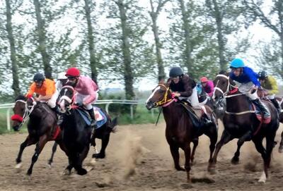 تاخت ۷۴ اسب در آغاز هفته ششم کورس گنبدکاووس+فیلم