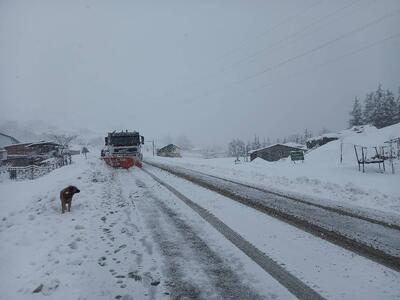 تردد در تمامی محورهای کوهستانی رضوانشهر فقط با زنجیر چرخ امکان‌پذیر است|فیلم