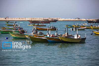 آغاز اجرای پروژه‌های بهسازی در ۱۷ بندر ماهیگیری کشور