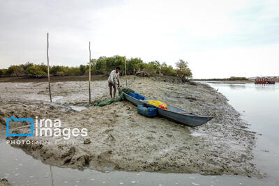 نقش تسهیلگری برنامه توسعه ملل متحد در تحقق حقابه تالاب‌های مرزی