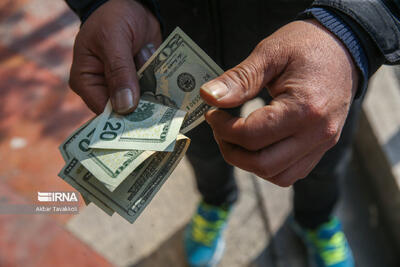 نظام تک نرخی ارز در شرایط کنونی ممکن نیست