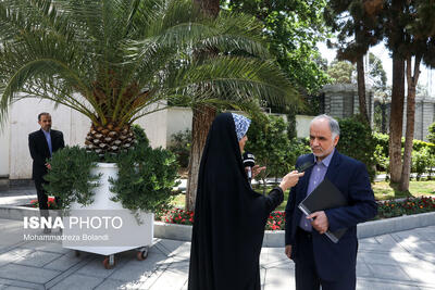 وزیر دادگستری: قرار نیست مهریه ۱۴ سکه باشد