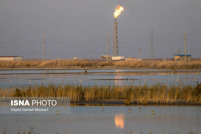 تاکید دادستان  خوزستان بر خاموشی سریع فلر «کریت کمپ» اهواز 