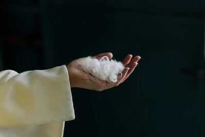 هوش مصنوعی پرهای مرغ را به پارچه کشمیر تبدیل می‌کند