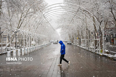  آغاز بارش برف طی ساعات آینده در مشهد
