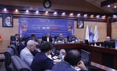 اهمیت مسیر چابهار در توسعه روابط اقتصادی ایران و هند/ مشوق‌هایی برای فعالیت در بازار هند