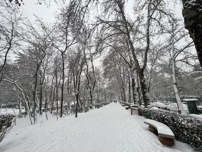 هشدار جدی هواشناسی: برف و باران سراسر کشور را فرا می‌گیرد؛ کاهش شدید دما
