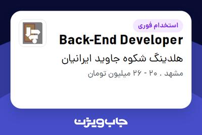  استخدام Back-End Developer در هلدینگ شکوه جاوید ایرانیان