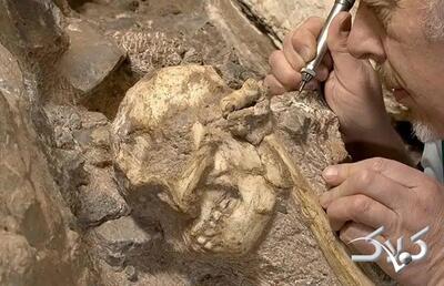 خویشاوند ۳ میلیون سالۀ انسان از دل سنگ بیرون آمد | عکس - مجله اینترنتی کولاک