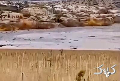 بارش‌های سنگین این سد آبخیزداری را هم سرریز کرد؛ شدت بارش باران را ببینید - مجله اینترنتی کولاک