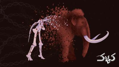 آیا می‌شود با استفاده از علم ژنتیک حیوانات منقرض شده را دوباره خلق کرد؟ - مجله اینترنتی کولاک