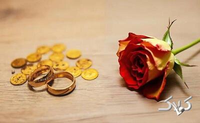 وزیر دادگستری: مهریه قرار نیست ۱۴ سکه شود - مجله اینترنتی کولاک