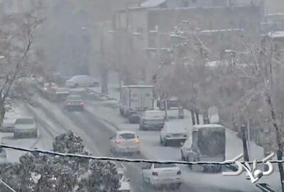 تصاویر بارش شدید برف در این شهر همه را خوشحال کرد؛ مدت‌ها بود مردم چنین برفی را ندیده بودند - مجله اینترنتی کولاک