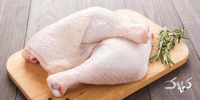 قیمت جدید مرغ در شب یلدا / آغاز توزیع مرغ منجمد در شب یلدا - مجله اینترنتی کولاک