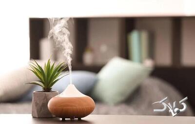 راز داشتن خانه‌ای همیشه معطر | تکنیک‌های طبیعی و صنعتی خوشبو کردن منزل را بشناسید - مجله اینترنتی کولاک