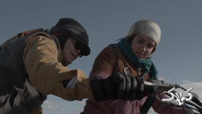 سه فیلمساز ایرانی که امکان دارد در اسکار حاضر باشند - مجله اینترنتی کولاک