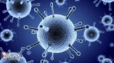 آنفلوآنزا روی خط هشدار - مردم سالاری آنلاین