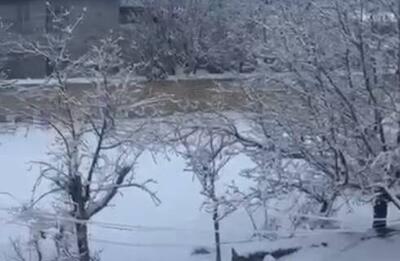 فیلم/ کاشان هم برفی شد