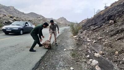  اقدام جهادی بسیجان گوهران برای ایمن‌سازی جاده‌های روستایی پس ازبارندگی