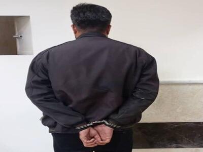  متهم به جعل اسناد مرجع قضایی در مرودشت دستگیر شد