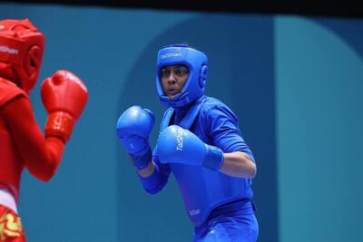 برگزاری جلسه کمیته انضباطی فدراسیون ووشو با حضور خاطیان