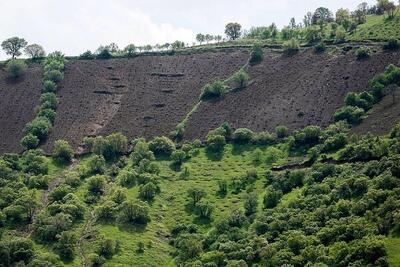  ۱۳ هزار هکتار در اصفهان آماده سرمایه‌گذاری برای جنگل‌کاری اقتصادی است