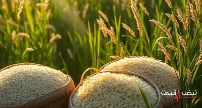 برنج ایرانی با قیمتی تاریخی فروخته می‌شود | قیمت برنج ایرانی امروز چهارشنبه 26 آذر 1404 + جدول قیمت