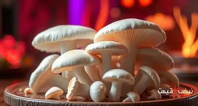 قارچ به دلیل تقاضای بالا گران شد | قیمت قارچ امروز چهارشنبه 26 آذر 1404 + جدول قیمت