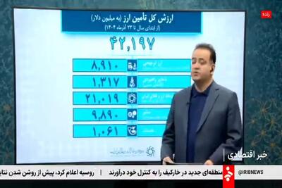 جزئیات اختصاص ارز وارداتی کالای اساسی و دارو / سخنگوی مرکز مبادله ایران شرح داد + فیلم