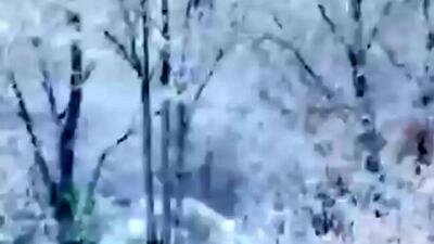  فیلم مناظر زمستانی و برفی شهرکرد
