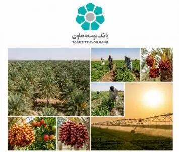  تأمین مالی زنجیره ای؛ فرصتی برای عبور کشاورزی سیستان و بلوچستان از فقر ساختاری به ارزش افزوده پایدار