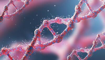  از مشروب تا سرطان؛ پژوهشی جدید چگونگی تخریب DNA با الکل را نشان می‌دهد