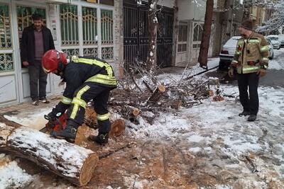 ۵۳ عملیات آتش‌نشانی مشهد برای مدیریت حوادث ناشی از بارش برف و باران (۲۶ آذر ۱۴۰۴)