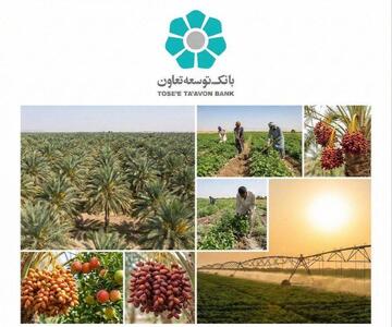 تأمین مالی زنجیره ای؛ فرصتی برای عبور کشاورزی سیستان و بلوچستان از فقر ساختاری به ارزش افزوده پایدار