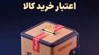 اعتبار خرید قسطی کالا با سپرده گذاری ارزی در مانیرو